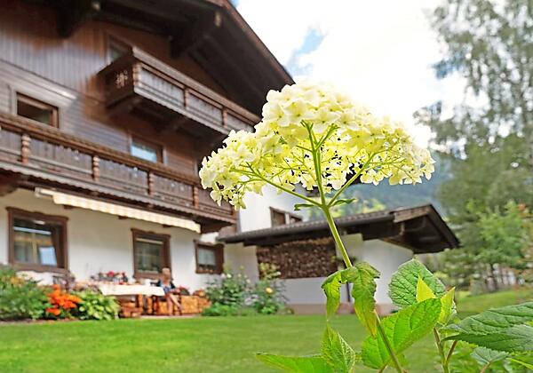haus-marianne-garten-blumen-c-martin-bürgler