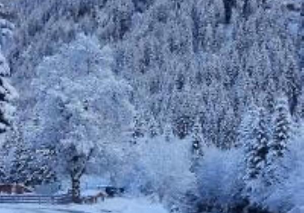 Haus Nani, Bad Gastein/Böckstein