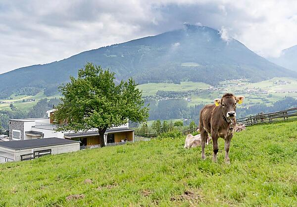 20230526_haus nordkettenblick_16_web