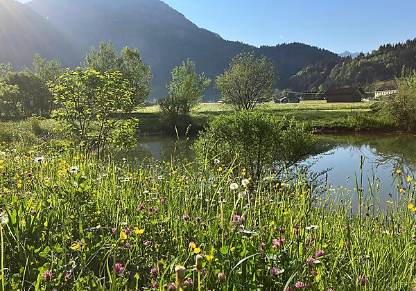Am Barfußpfad-Lohwäldchen1