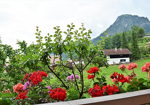 Blick vom Balkon Imberger Horn & Iseler