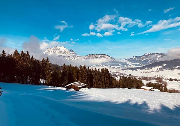 dd027e81-6342-4d19-8bf4-891397d8b9fd