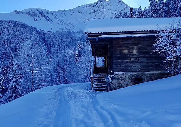 3694ae7a-6d18-4a88-a97b-7b5db8afea5a