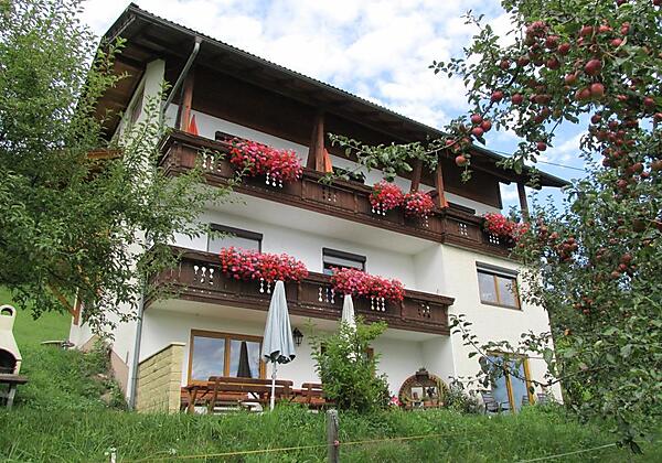 Hillgartner Sünansicht