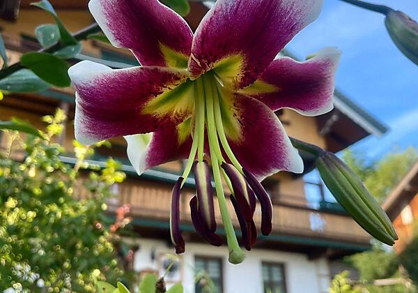 a1d7534c-f364-46a7-9560-cc24a89f63dd