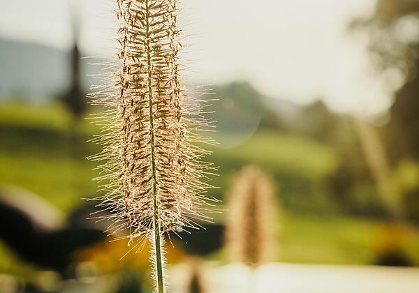 Garten_Das_Stoaber_Leogang