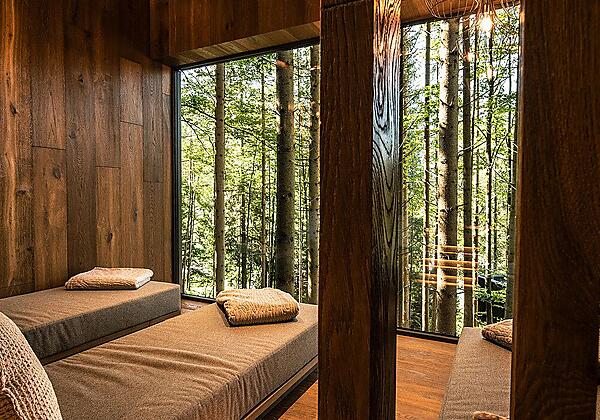 Ruhe und Entspannung im Wald