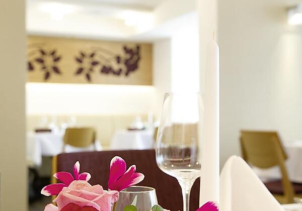 Holunderhof Essen 3 2013