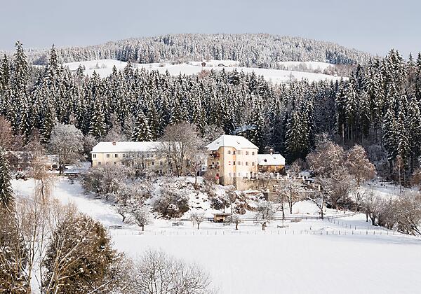 Pichlschloss vom Geigerkogel