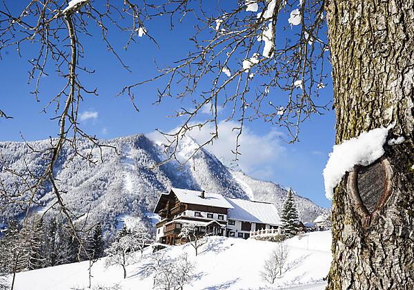 Sonnfeld im Winter