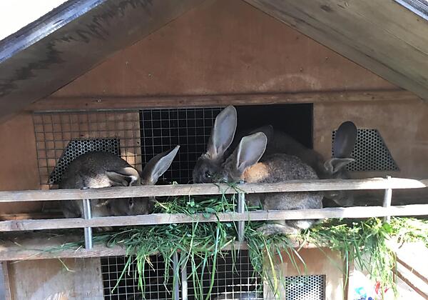 99EFA550-60BF-44F0-A5D1-7641079A0B2C