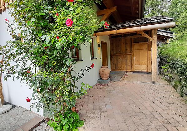 Eingang Bergwald und Alpenhimmel