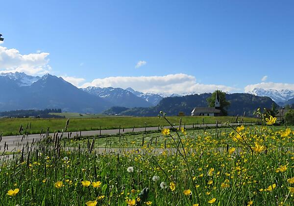 Hof_Lage_Aussicht Sommer