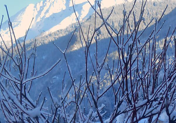 Gartenaussicht im Winter
