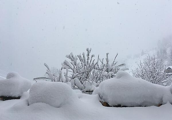 Blick vom Apartment "Corinna" in den Garten
