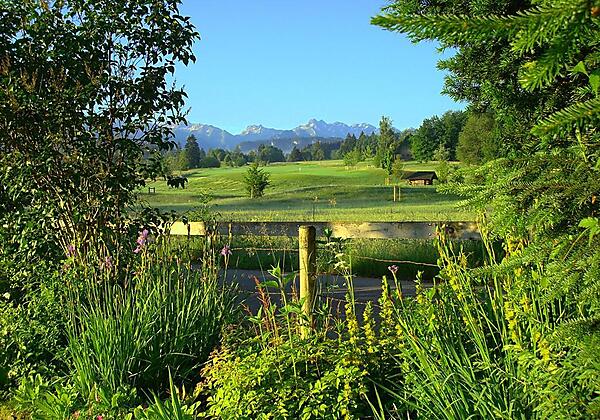 Fenster in die Natur