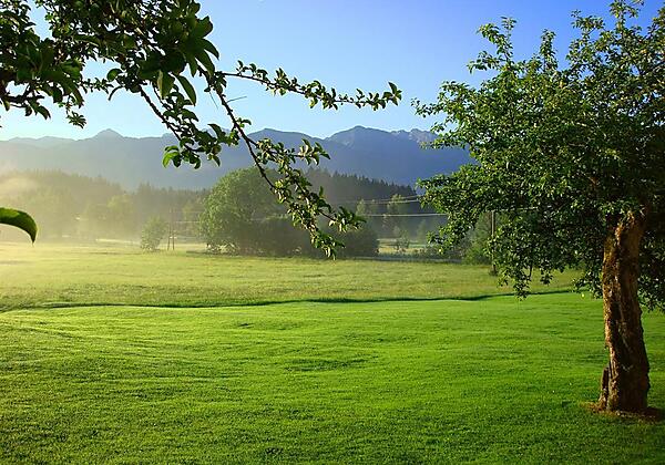 Große Spielwiese am Haus