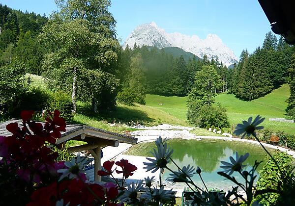 Sicht auf Schwimmteich