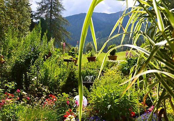 34a2bf41-8b0c-4ddf-bd43-77bb41d7724d