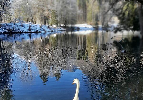 PHOTO-2021-01-07-19-51-14