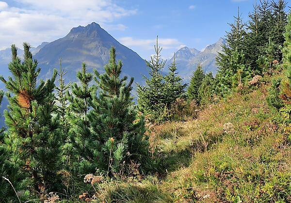 Ausblick auf Galtür