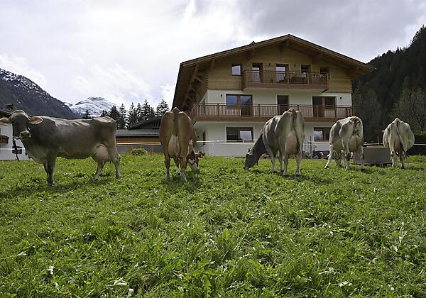 Landhaus bei Tag-Frühling