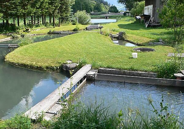 Gasthof Maier Bad Hofgastein Fischteich Sommer