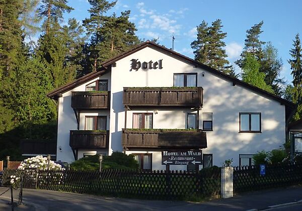 Meister BÄR Am Wald