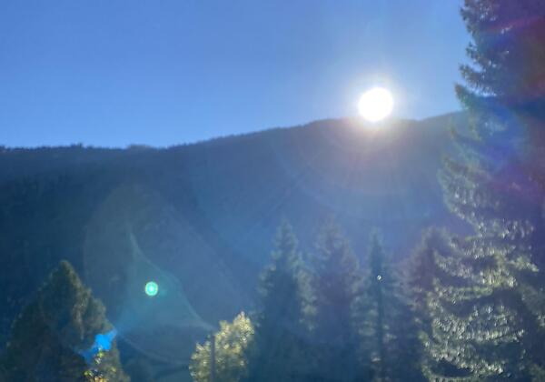 EE7C6DE7-D7C5-47F9-9419-D084FF6D260B