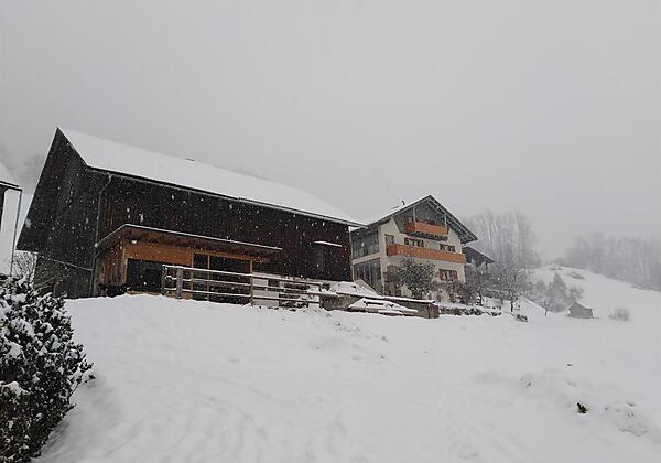 IMG_20190105_105336_resized_20190105_022659550