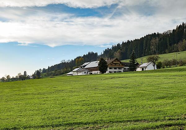 Muellers-Stuben-Zimmer-Vermietung-Isny-4