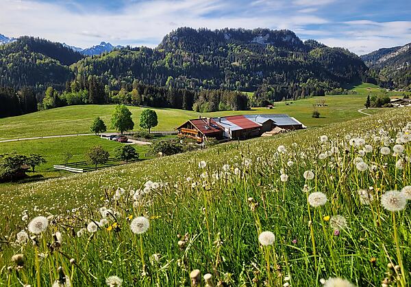 Ansicht ober dem Haus