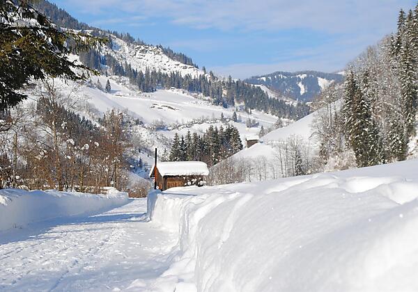Winterspazierweg direkt vom Haus- entlang vom Bach