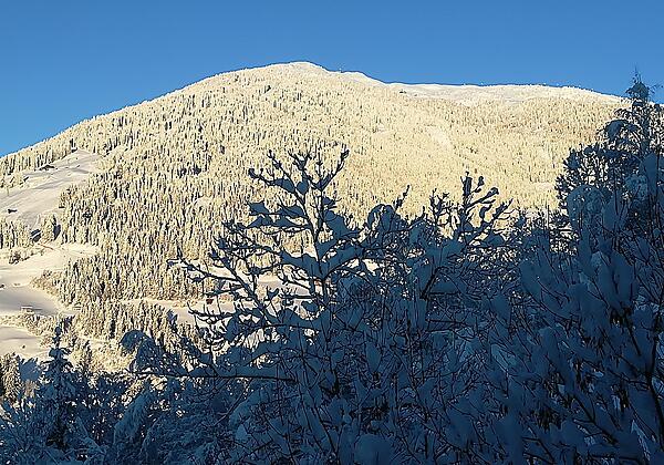 Blick auf Thurntaler