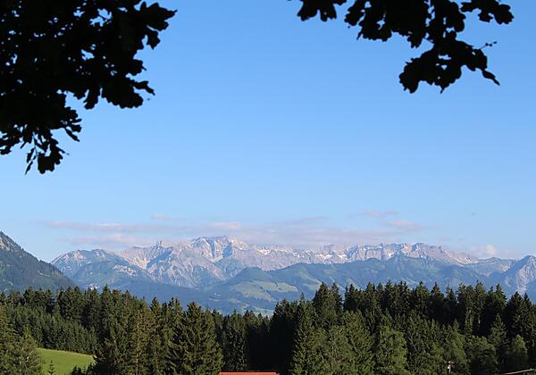 Unsere Panorama-Aussicht auf die Allgäuer Alpen