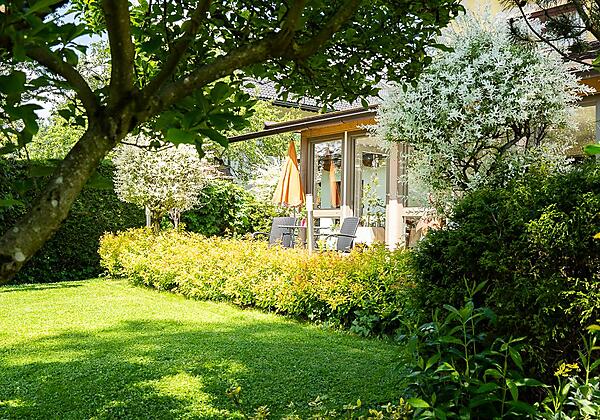 garten beim wintergarten