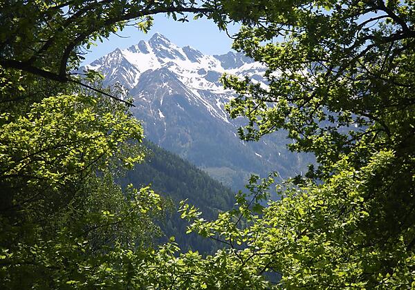 Blick von der Pension Burgwies auf die Berge