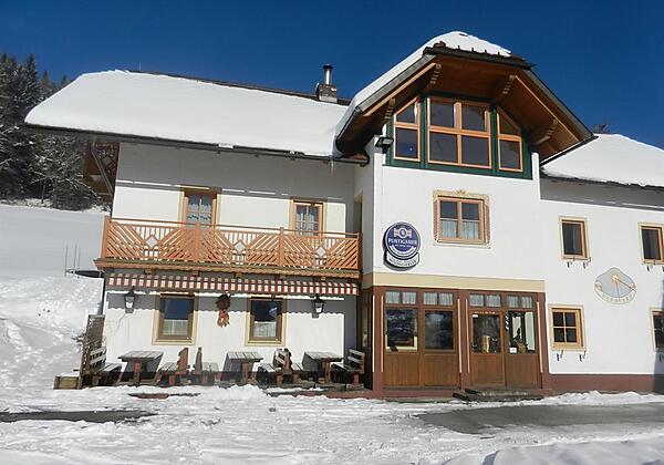 Moosgierler im Winter