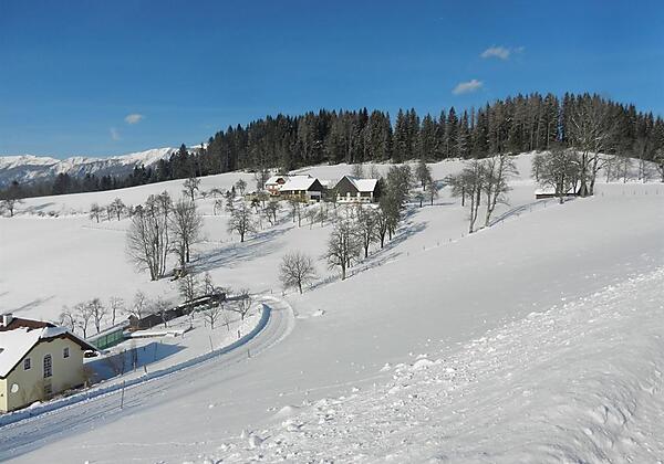 Panoramablick zum Moosgierler