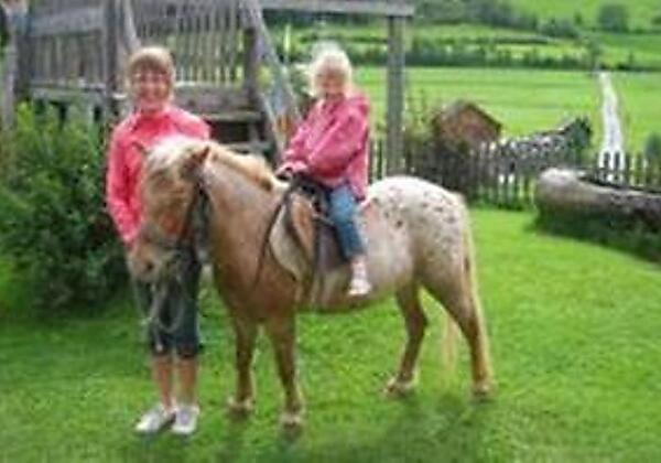 Kinder beim Reiten II