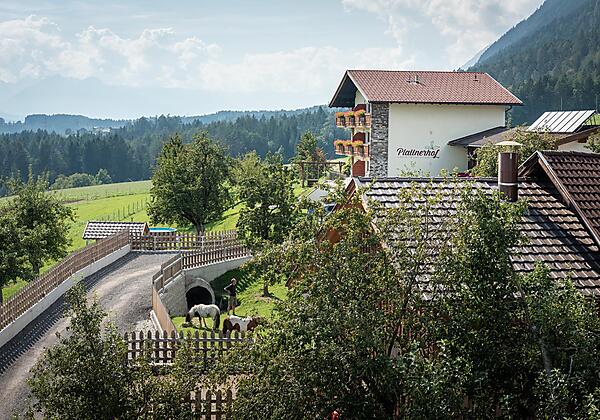 20200912_angelicajaud_100