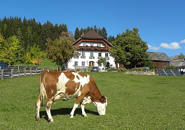 Polzhof - Ferienwohnung-Balkon
