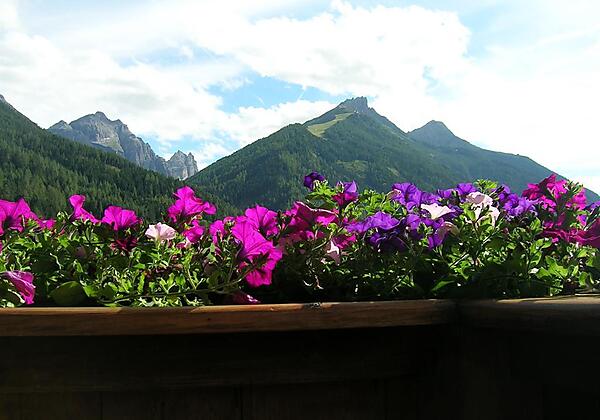 Haus Raffl Sonja Aussicht Balkon