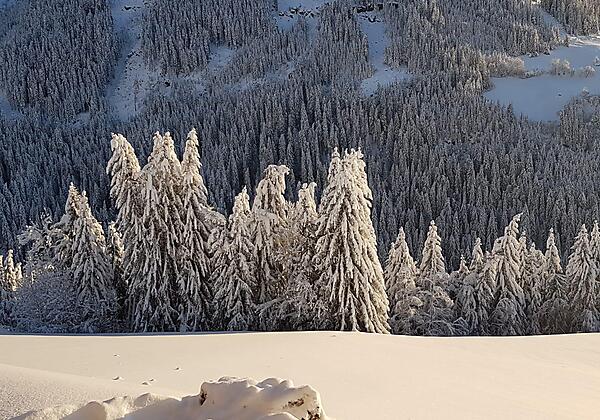 e8ddabb5-9f94-4d96-bfb4-84947ede96b7