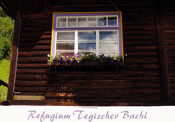 Blumenschmuck im Sommer