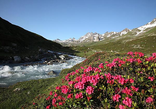 Sommerlandschaft Paznaun