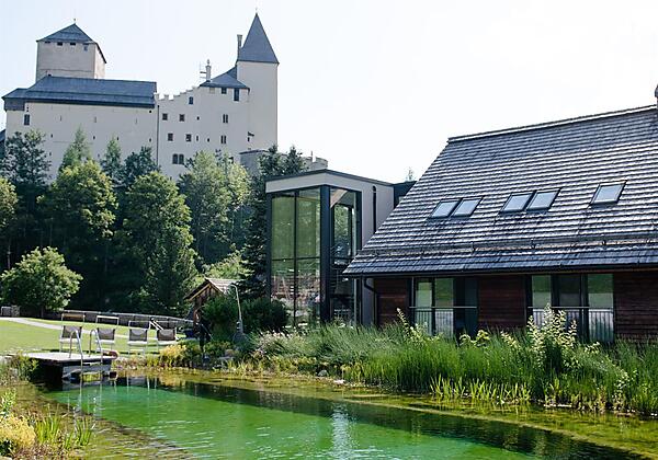 beheizter Schwimmteich im Sommer