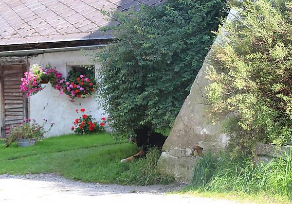 Restgut in Begöriach