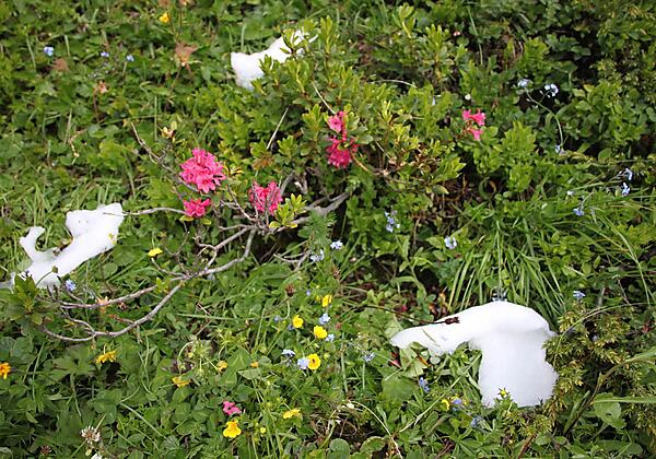 Schnee auch im Sommer