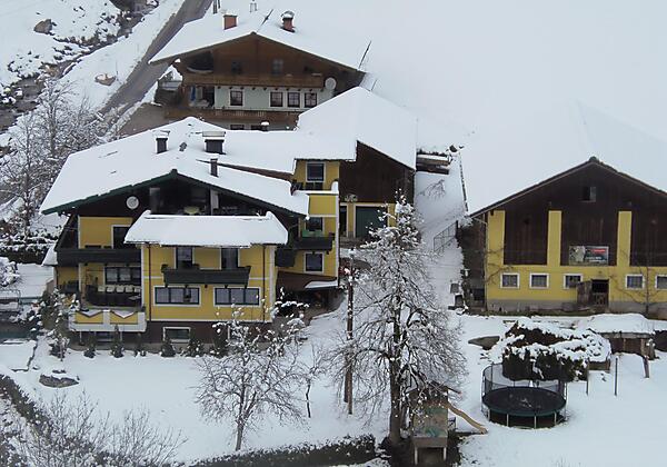 Familien-Biobauernhof-Winter
